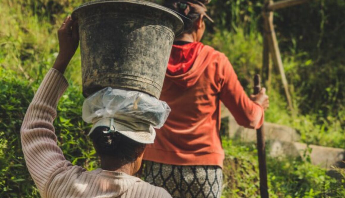 Women farmers