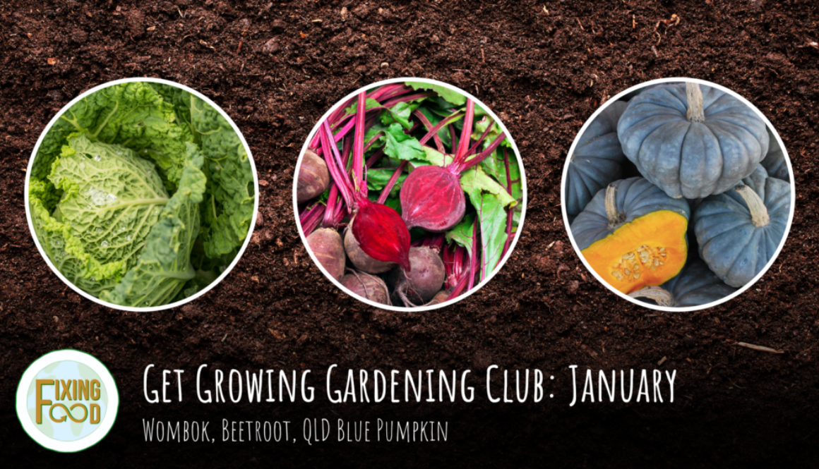 January Wombok, Beetroot, QLD Blue Pumpkin