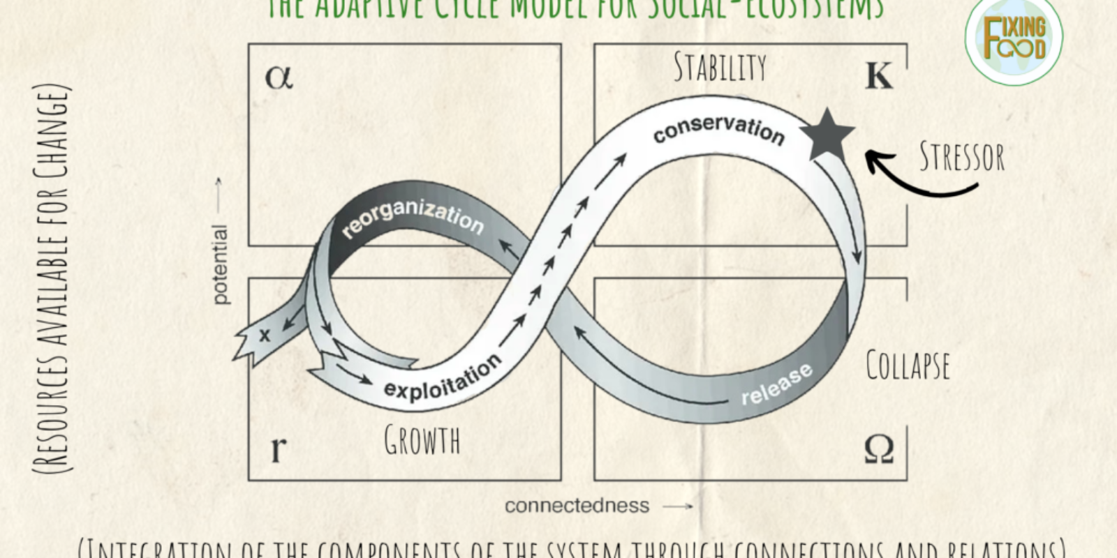 Adaptive cycle model