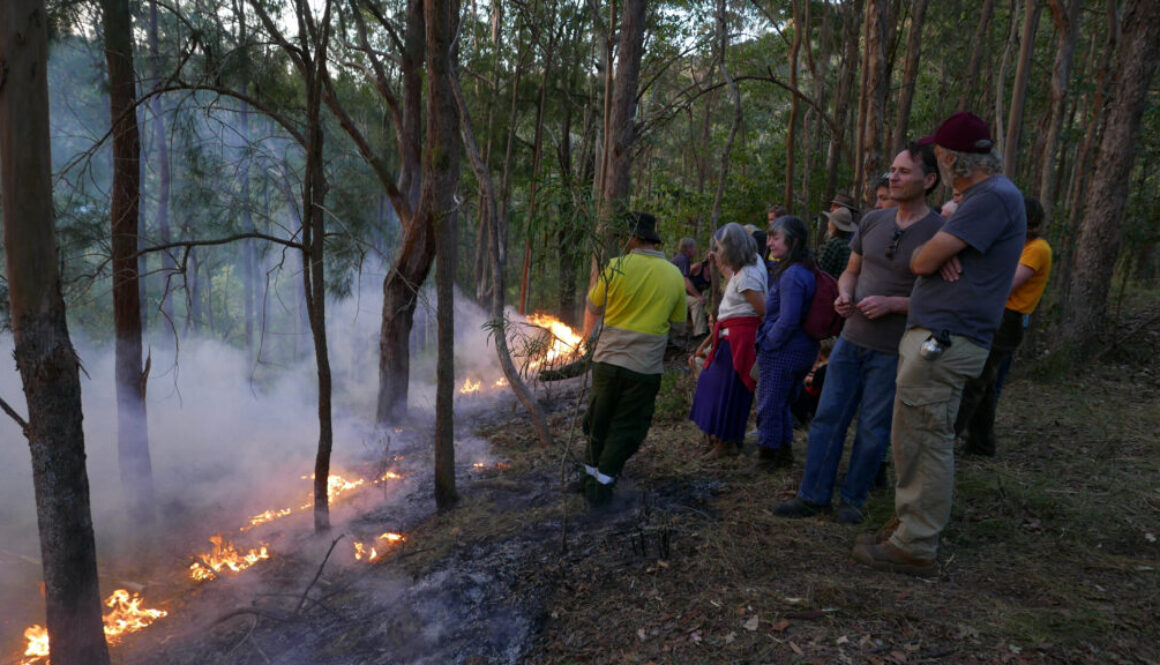 Indigenous Australians teach landowners traditional methods to fight fire with fire